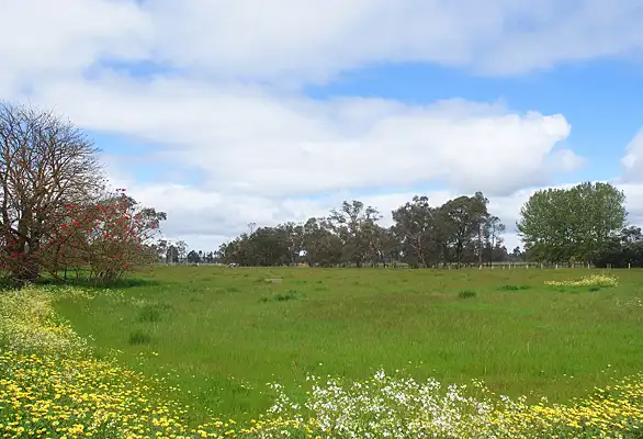 Seventh view of Homely rural property listing, 839 Kaloorup Road, Jindong WA 6280