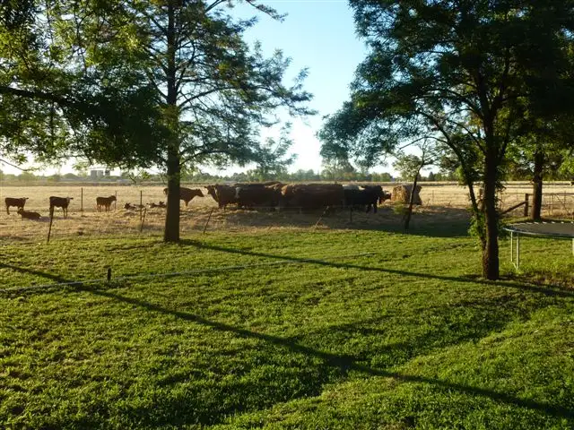 Fourth view of Homely rural property listing, Lot 57 Riverina Highway, Finley NSW 2713