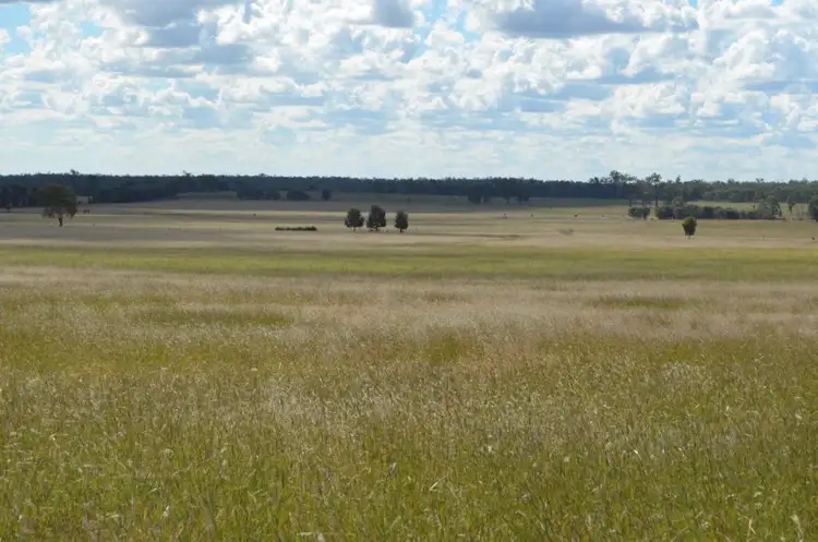 Sixth view of Homely rural property listing, 349 Boondandilla Road, Millmerran QLD 4357