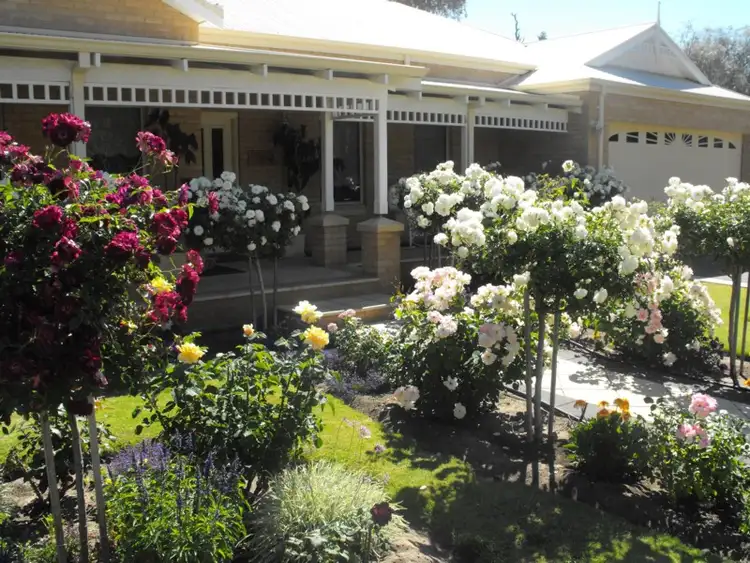 Main view of Homely house listing, 24 Klaehn Crescent, Yalyalup WA 6280