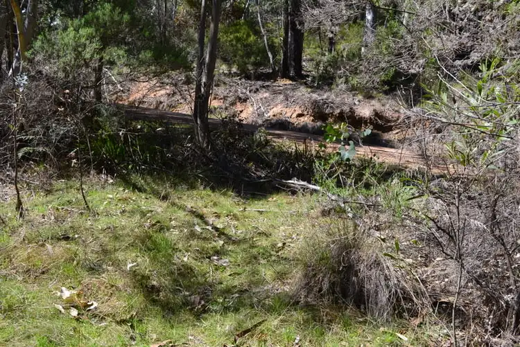 Sixth view of Homely rural property listing, 531 McKinnons Road, Benambra VIC 3900