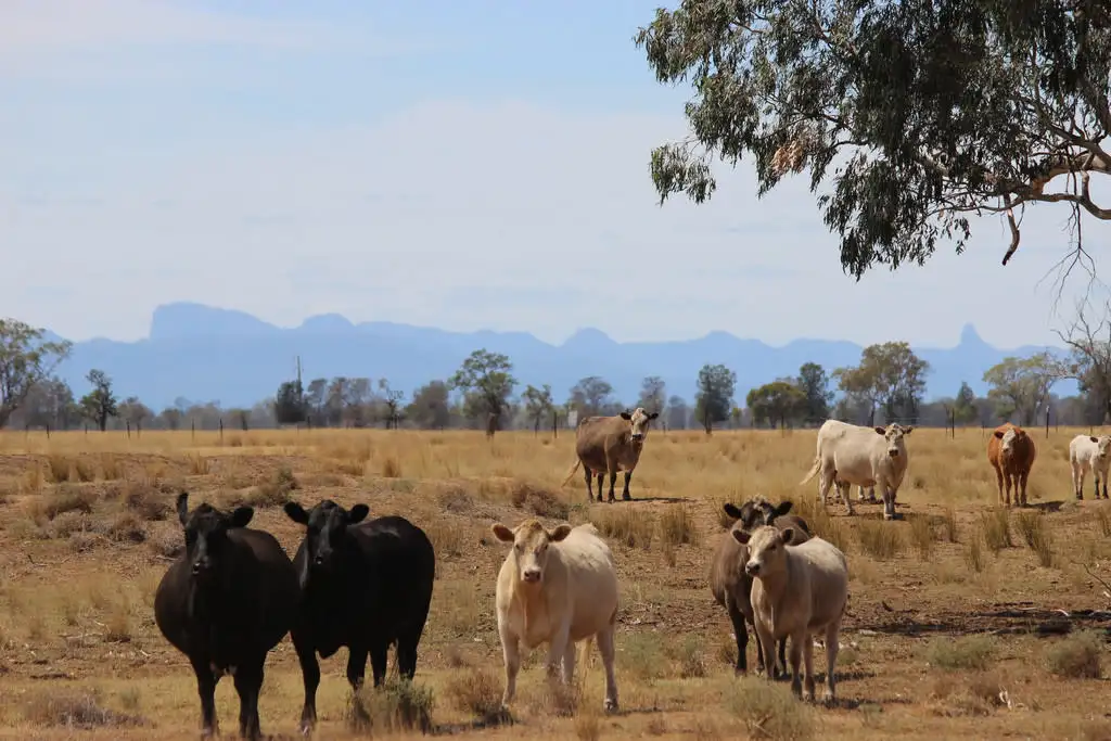 Main view of Homely rural property listing, Address available on request