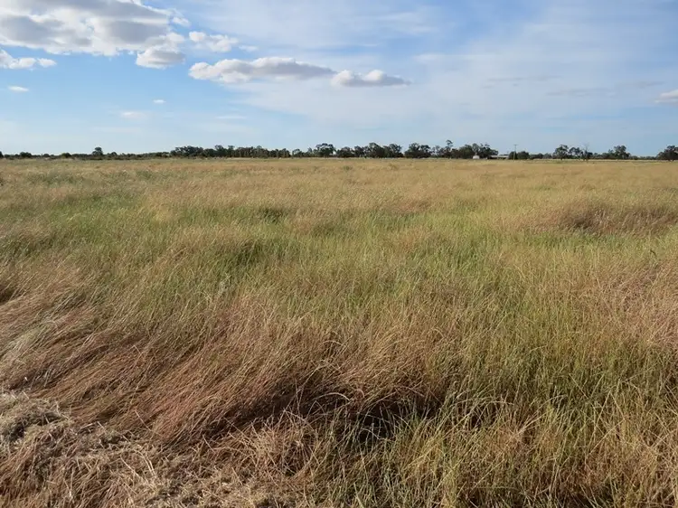 Fourth view of Homely rural property listing, Address available on request