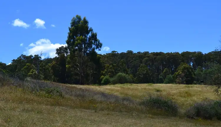 Fifth view of Homely rural property listing, 13 Snowys Track, Benambra VIC 3900
