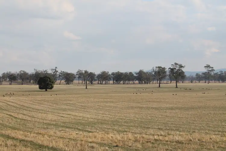 - Crafts, Stockinbingal NSW 2725