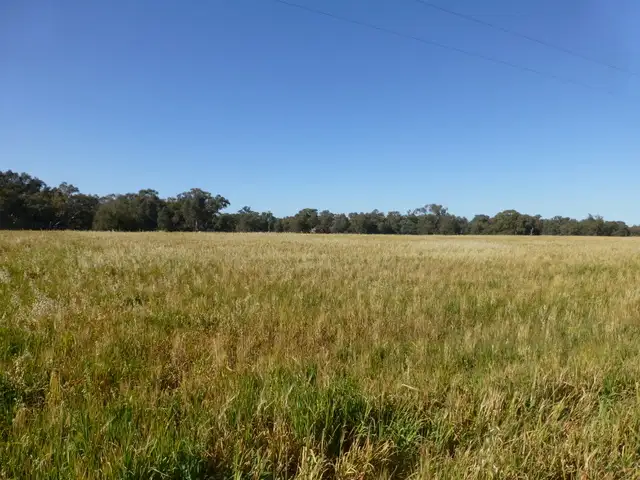 Fourth view of Homely land listing, Lot 8 Renshaw McGirr Way, Parkes NSW 2870