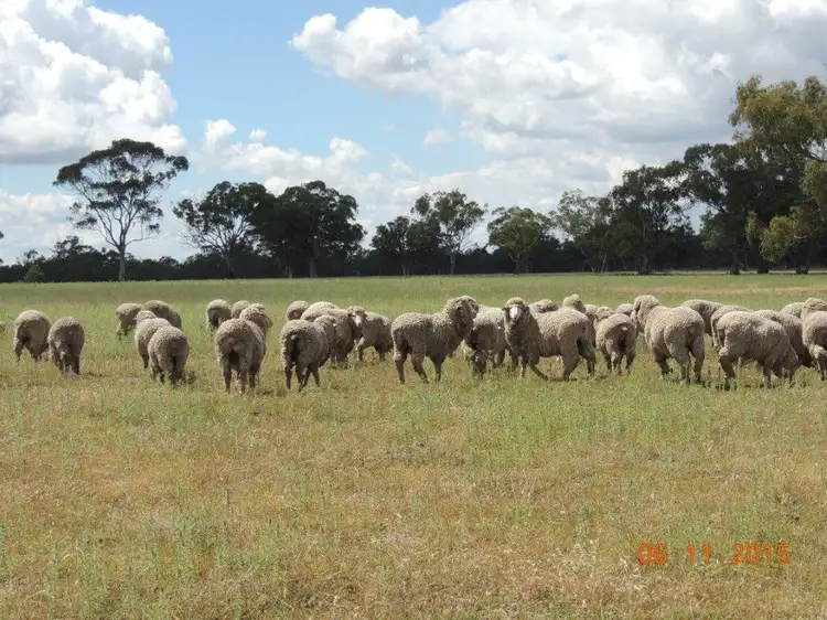 Second view of Homely rural property listing, Lot 512 "Max-Well-A", Coonabarabran NSW 2357