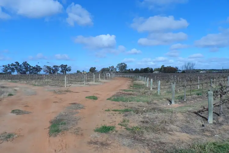 Second view of Homely land listing, Lot 101 Darling Street, Renmark SA 5341