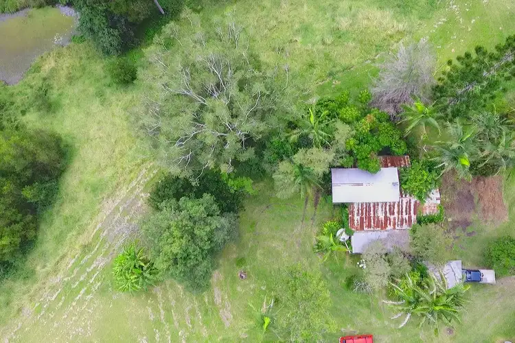 Fifth view of Homely rural property listing, 839 Blue Knob Road, Blue Knob NSW 2480