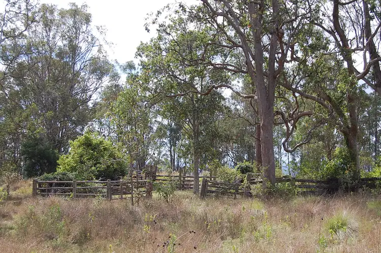 Third view of Homely rural property listing, Lot 101 Duck Creek Road, Old Bonalbo NSW 2469