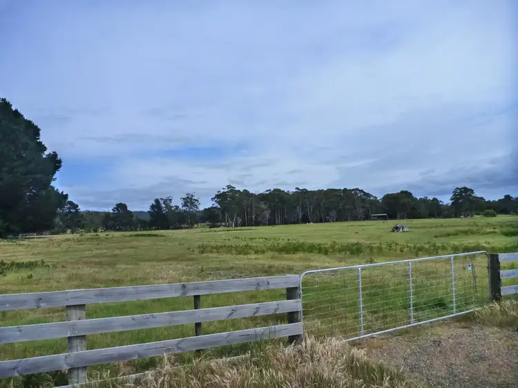 Second view of Homely land listing, 51 Calverts Lane, Gravelly Beach TAS 7276