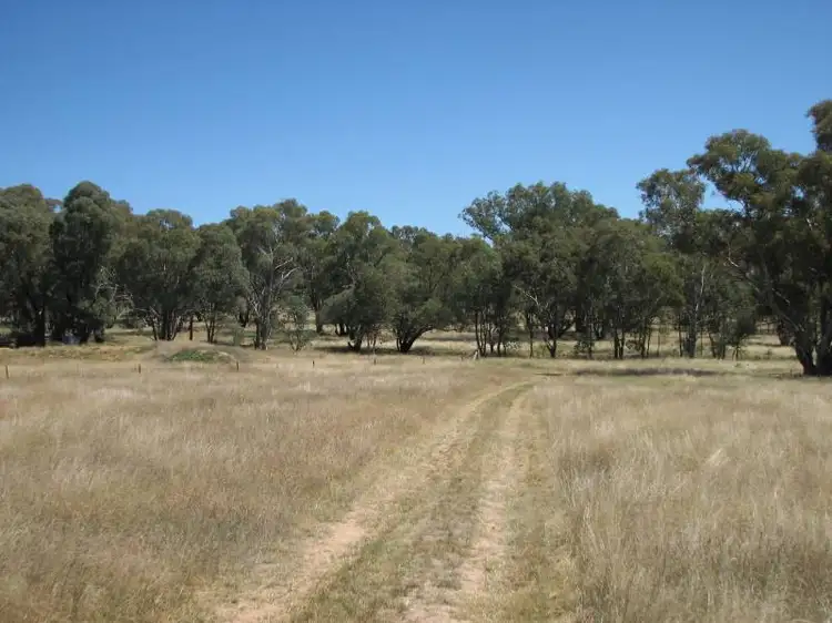 Fifth view of Homely rural property listing, 987 Monteagle Road, Young NSW 2594