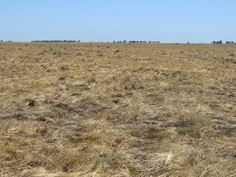 Sixth view of Homely rural property listing, "Dandaloo" Noorong Road, Barham NSW 2732