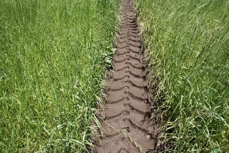 Seventh view of Homely rural property listing, Cnr Henningson & Hill Road, Yahl SA 5291