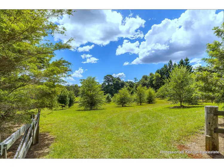 Main view of Homely land listing, 311 Long Road, Tamborine Mountain QLD 4272