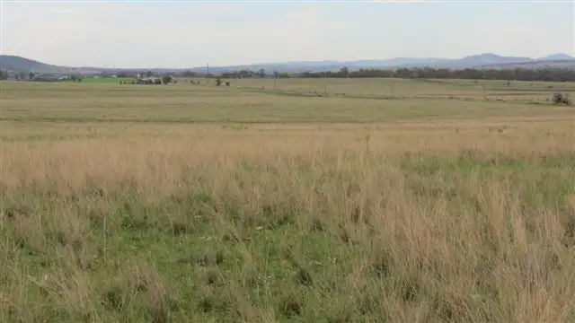 Main view of Homely rural property listing, 115 Milford Hills Lane, Scone NSW 2337