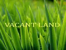 20 Braeside Road, Mount Lawley WA 6050