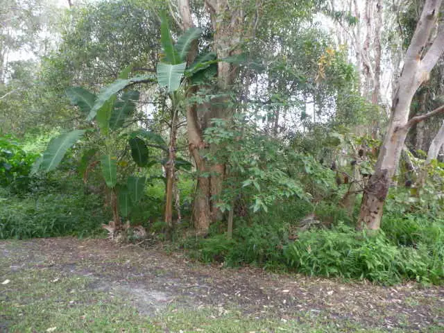 Seventh view of Homely land listing, 7 Renown Court, Cooloola Cove QLD 4580