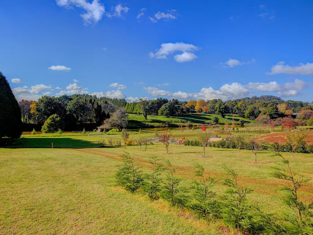Main view of Homely land listing, 38 Hoddle Street, Burrawang NSW 2577