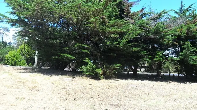 Second view of Homely land listing, 6 River Road, West Ulverstone TAS 7315