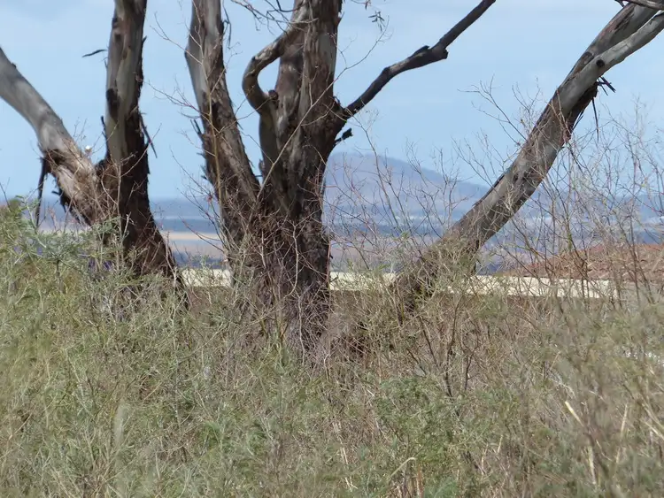 Second view of Homely land listing, Lot 2, 85 Native Corners Road, Campania TAS 7026