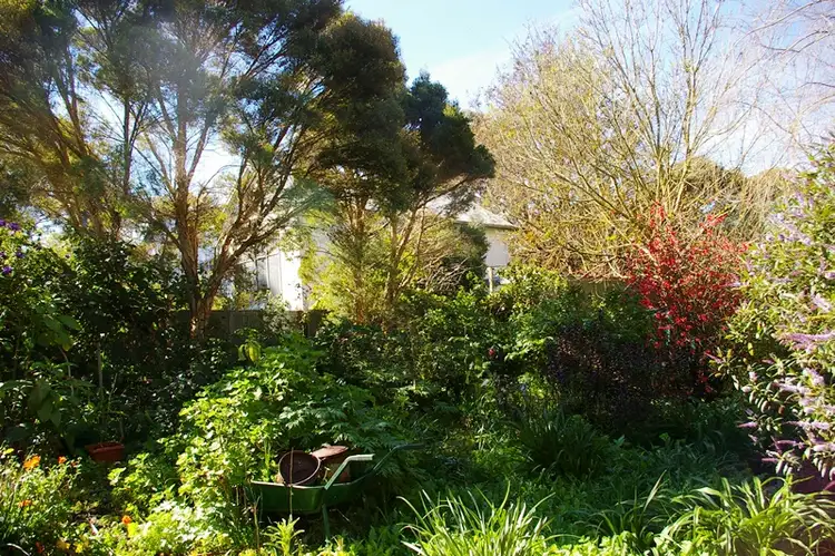 Second view of Homely house listing, 11 Turnley Street, Merino VIC 3310