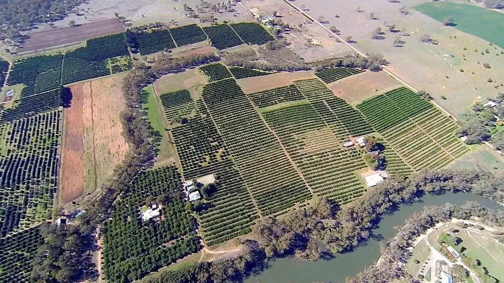 Main view of Homely rural property listing, 120 Torgannah Rd, Koonoomoo VIC 3644