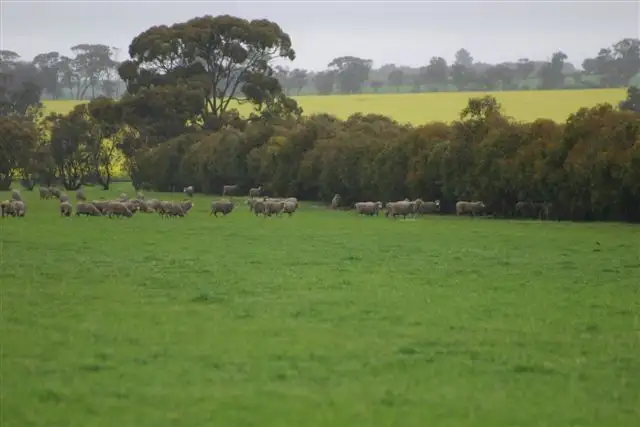 Main view of Homely rural property listing, Address available on request