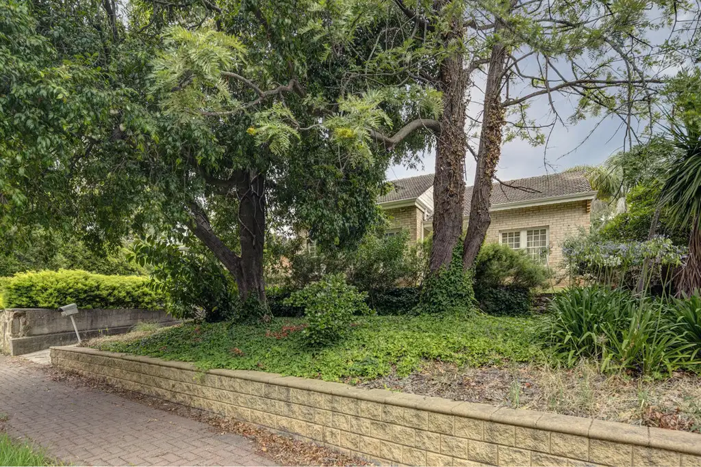 Main view of Homely house listing, 642 Magill Road, Magill SA 5072