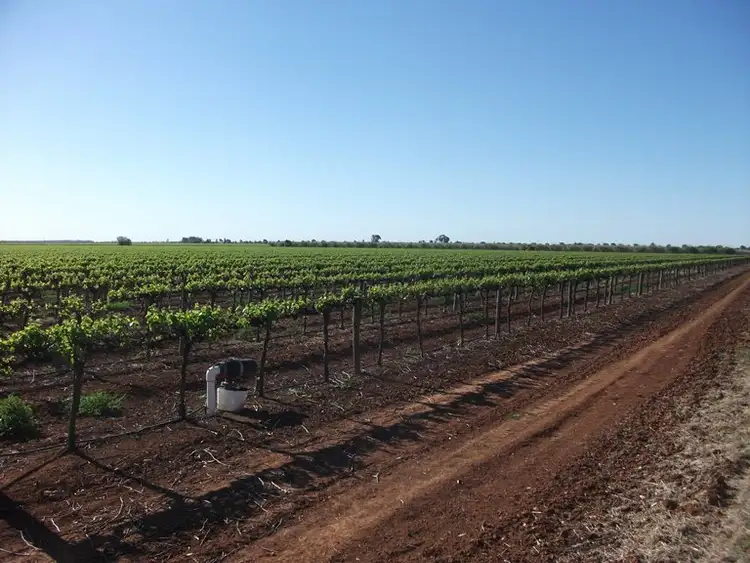 Sixth view of Homely rural property listing, 199E Mansell Road, Hanwood NSW 2680