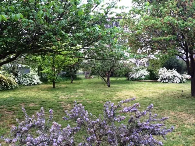 Fourth view of Homely house listing, 4 Woods Close, Murrumbateman NSW 2582