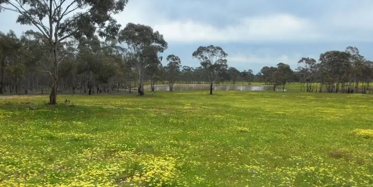 Lot 4, 63 Whitney Road, Axe Creek VIC 3551