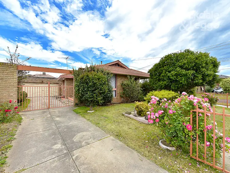 Second view of Homely house listing, 19 North Circular Road, Gladstone Park VIC 3043