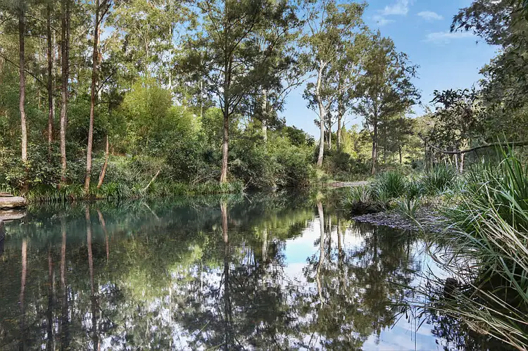 Main view of Homely rural property listing, 861 Pappinbarra Road, Pappinbarra NSW 2446