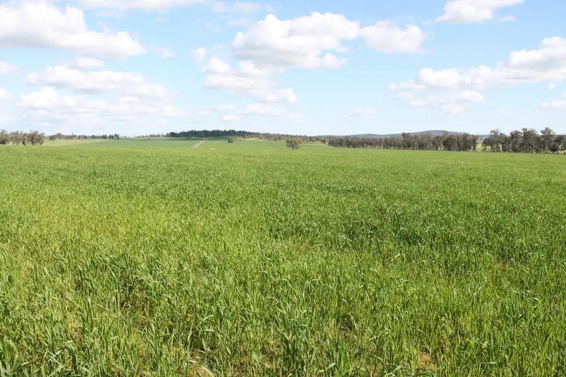 Main view of Homely rural property listing, Address available on request