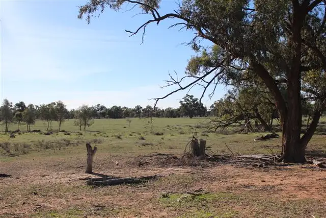 Sixth view of Homely rural property listing, Peaka Station via, Pooncarie NSW 2648