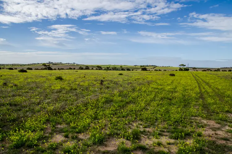 Second view of Homely land listing, Sec 125 Wallschutzky Road, Streaky Bay SA 5680