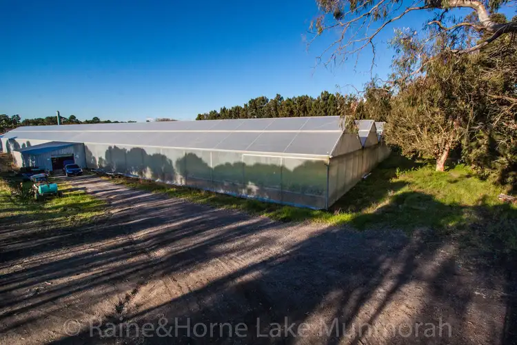 Sixth view of Homely rural property listing, 120 Pacific Highway, Doyalson NSW 2262