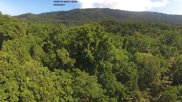 Seventh view of Homely land listing, Lot 259 Silver Ash Road (Cow Bay), Daintree QLD 4873