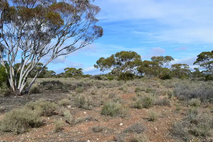 Third view of Homely rural property listing, - Section 273, Hundred of Anna, Blanchetown SA 5357