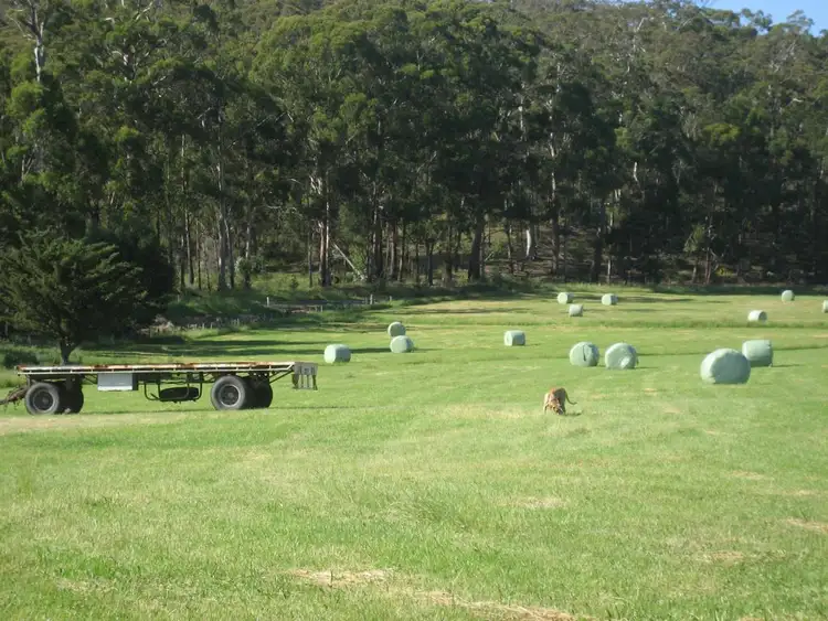 Seventh view of Homely rural property listing, 1615 Monaro Highway, Noorinbee VIC 3890