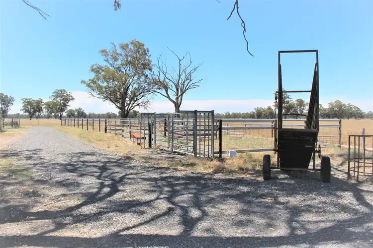 146 Henry Road, Tungamah VIC 3728