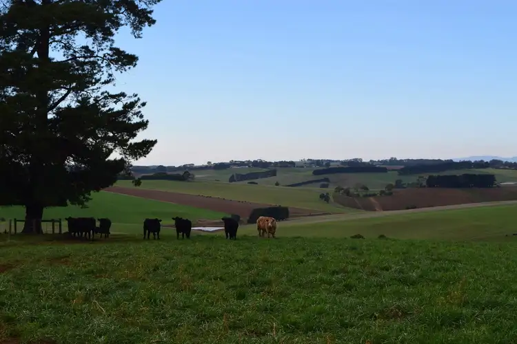 Sixth view of Homely rural property listing, 2794 McDonalds Track, Thorpdale VIC 3835