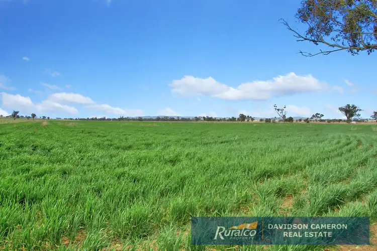 Main view of Homely rural property listing, Canberra 982 Warral Bithramere Road, Tamworth NSW 2340