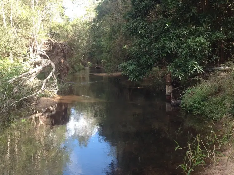 Fourth view of Homely rural property listing, 1000 Six mile road, Proserpine QLD 4800