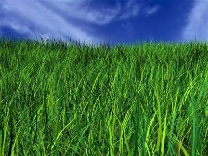 Main view of Homely land listing, 94 (Lot 1121) Grandvue Boulevard, Pakenham VIC 3810