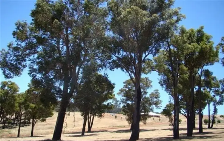Second view of Homely land listing, 10 Riverview Close, Bridgetown WA 6255