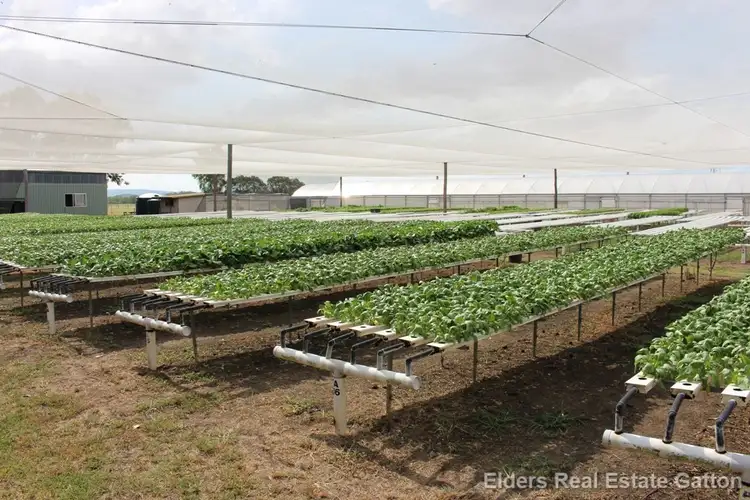 Sixth view of Homely rural property listing, 152 BACK FLAGSTONE ROAD, Iredale QLD 4344