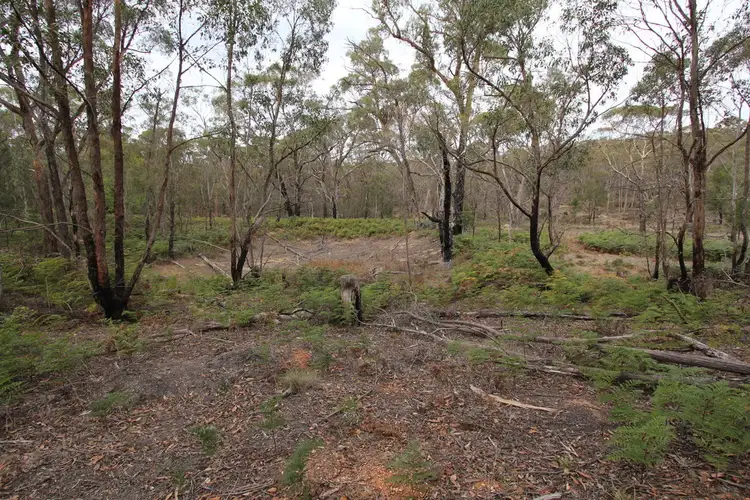 695 Pittong- Snake Valley Road, Snake Valley VIC 3351