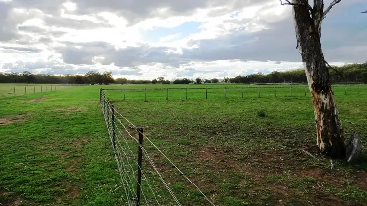 Fourth view of Homely rural property listing, Lot 2 Warrambungle Way, Coolah, Coolah NSW 2843